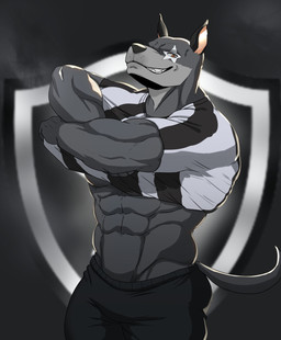 abs anthro barazoku biped black_bottomwear black_clothing black_pants bottomwear clenched_teeth clothed clothing clothing_lift fingers front_view fur grey_body grey_fur humanoid_hands looking_at_viewer male markings muscular muscular_anthro muscular_arms muscular_male orange_eyes pants pattern_clothing pattern_shirt pattern_topwear referee shirt shirt_lift smile soccer_jersey solo standing star_(marking) striped_clothing striped_shirt striped_topwear stripes tail teeth topwear c_andreartz botafogo brazilian_serie_a biriba_(botafogo) canid canine canis domestic_dog mammal 2021 absurd_res colored hi_res