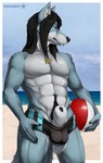 abs animal_genitalia anthro ball balls balls_outline beach beach_ball black_hair black_sheath_slit blue_body blue_fur body_hair bulge closed_sheath_slit clothed clothing detailed_bulge eyewear fur genital_outline genitals hair happy_trail inflatable jewelry large_sheath locket long_hair looking_aside male muscular muscular_male necklace obliques outside partially_clothed pecs pubes red_eyes sand sea seaside sheath sheath_slit solo sunglasses swimming_trunks swimwear tusks water white_body white_fur truegrave9 kahnso_(ceeb) canid canine fox mammal absurd_res hi_res