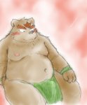 anthro asian_clothing belly brown_body brown_fur clothing east_asian_clothing fundoshi fur humanoid_hands japanese_clothing kemono male moobs navel nipples overweight overweight_anthro overweight_male solo underwear snow_utamaru bear mammal 2012