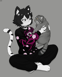 ambiguous_feral ambiguous_gender anthro barefoot bottomwear carrying_another clothing collar crossed_legs crosslegged_pose feet female feral hair pants shirt short_hair sitting size_difference solo spiked_collar spikes topwear razval valeria_(razval) domestic_cat felid feline felis mammal pallas's_cat absurd_res hi_res