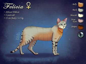 abstract_background ambiguous_feral ambiguous_gender ankh black_soles color_swatch feral green_eyes markings pink_nose quadruped semi-realistic side_view solo standing striped_markings stripes symbol text whiskers pspspsy felicia_(pspspsy) african_wildcat domestic_cat felid feline felis mammal wildcat english_text hi_res model_sheet shaded signature female_(lore)