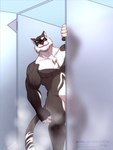 anthro fur looking_at_viewer male muscular nude shower_room smile smirk solo standing steam tail wet wet_body wet_fur amarox felid mammal pantherine hi_res