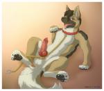 2014 anus arcshep balls barefoot bdsm bondage bound butt canine claws collar cum cum_on_penis dog drooling erection eyelashes feral fur german_shepherd half-closed_eyes knot leash male mammal nude open_mouth pawpads paws penis precum raised_leg saliva sharp_claws sharp_teeth solo spread_legs spreading teeth toe_claws tongue tongue_out ursofofinho vein veiny_penis
Rating: Explicit
Score: 22
User: forkU
Date: March 31, 2014