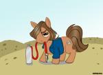 brown_eyes clothing coin cutie_mark desert jacket looking_at_viewer male oxygen_tank parody ponification solo topwear western dutch_(artist) friendship_is_magic hasbro my_little_pony no_country_for_old_men anton_chigurh earth_pony equid equine horse mammal pony 2011 crossover