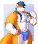 anthro bulge clothing fur hair long_hair male muscular muscular_anthro muscular_male orange_body orange_fur solo speedo swimwear dragonslash alty canid canine fox mammal red_fox true_fox hi_res