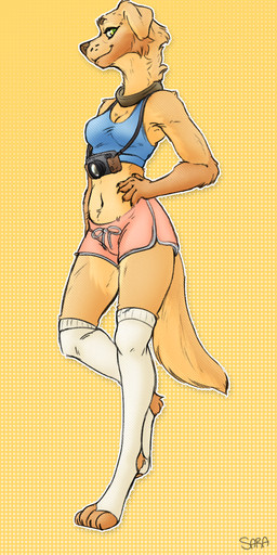 anthro athletic_wear bottomwear bra camera clothed clothing collar female footwear gym_bottomwear gym_shorts legwear looking_at_viewer shorts socks solo sports_bra standing stirrup_socks thigh_highs thigh_socks toeless_footwear toeless_socks underwear saradrawsart goldie_(saradrawsart) bird_dog canid canine canis domestic_dog golden_retriever hunting_dog mammal retriever hi_res