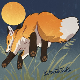 ambiguous_gender claws dipstick_tail eyes_closed feral fur grass markings moon orange_body orange_fur pawpads paws plant solo tail tail_markings kitsune_hyoka canid canine fox mammal 1:1 2025 signature