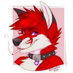 anthro cigarette collar looking_at_viewer male simple_background smile smoking solo chesta asher_the_firefox canid canine fox mammal red_fox true_fox 1:1