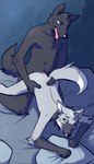 anthro bed bodily_fluids doggystyle drooling duo from_behind_position fur furniture genitals grey_body grey_fur male male/male penetration penis pink_penis rough_sex saliva sex sweat skankfox canid canine canis mammal maned_wolf wolf hi_res