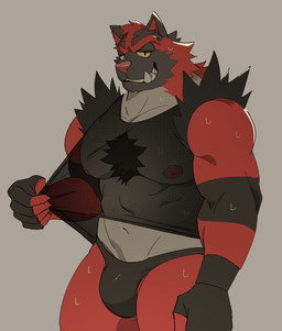 abs anthro barazoku biceps black_clothing black_shirt black_topwear bodily_fluids body_hair bulge chest_hair chest_tuft claws clothing clothing_pull fangs finger_claws fingerless_gloves front_view fur gloves grey_background handwear looking_at_viewer male muscular muscular_male nipples open_mouth pecs pose quads sharp_teeth shirt simple_background solo standing sweat sweaty_body teeth thong topwear translucent translucent_clothing translucent_topwear triceps tuft underwear yellow_eyes backshotbear nintendo pokemon see-through_shirt_meme generation_7_pokemon incineroar pokemon_(species) 2025 absurd_res hi_res meme pinup portrait three-quarter_portrait