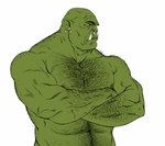 arm_hair bald belly_hair body_hair chest_hair ear_piercing green_body hairy male muscular muscular_male navel nipples pecs piercing red_eyes solo tusks furryrevolution humanoid orc absurd_res hi_res