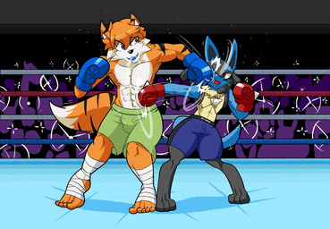 abs anthro audience body_tape boxing_gloves boxing_shorts camera_flash clothing duo face_punch fighting_ring group handwear male punch netto-painter nintendo pokemon canid canine felid fox generation_4_pokemon hybrid lucario mammal pantherine pokemon_(species) tiger