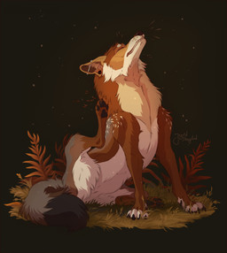 ambiguous_gender complex_markings complex_shading ear_piercing feral grass itching nature piercing plant scratching shedding shedding_fur sitting solo ingridskogstad canid canine canis coyote mammal hi_res