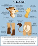 anthro backsack balls beak butt feet genitals looking_at_viewer looking_back looking_back_at_viewer male paws simple_background solo tail tail_tuft talons text toes tuft r3drunner mythology toast_(r3drunner) avian felid gryphon hybrid lion mammal mythological_avian mythological_creature pantherine english_text hi_res model_sheet watermark