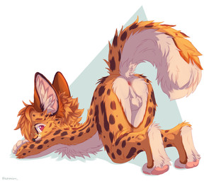 anthro anus ass_up big_ears butt eyewear feet glasses hindpaw male markings orange_body paws presenting presenting_anus presenting_balls presenting_hindquarters raised_tail solo spots spotted_markings tail acronium taiko_(h1ndm0st) felid feline mammal serval hi_res