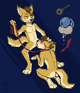 anthro backsack balls bdsm bodily_fluids chastity_device chastity_device_only collar duo erection feet fellatio fingers fur genital_fluids genitals hair half-closed_eyes hand_on_head holding_leash holding_object key leaking_precum leash leashed_collar male male/male male_penetrated male_penetrating narrowed_eyes nude open_mouth oral oral_penetration penetration penile penis petplay precum roleplay sex simple_background smile spread_legs spreading tail teeth toes tongue tongue_out wearing_chastity_device nikraccoom canid canine canis dingo domestic_dog mammal digital_media_(artwork) hi_res