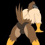 anthro balls_through_fly beak briefs brown_eyes bulge butt claws clothing feathers male solo underwear conditional_dnp notkastar pirate_eagle was accipitrid accipitriform avian bird eagle philippine_eagle 1:1 alpha_channel