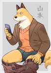 anthro bottomwear bottomwear_down bulge cellphone clothed clothing electronics fur jacket male multicolored_body multicolored_fur orange_body orange_fur pants pants_down partially_clothed phone simple_background sitting smartphone solo sweater topwear two_tone_body two_tone_fur underwear undressing v-neck white_body white_fur koginoro_28 odd_taxi fuyuki_yamamoto_(odd_taxi) canid canine fox mammal 2021 hi_res