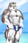 abs accessory anthro biceps clothing fur headband kemono male multicolored_body multicolored_fur muscular muscular_anthro muscular_male nipples pecs simple_background solo swimwear white_body white_fur dragon0324r lifewonders tokyo_afterschool_summoners horkeu_kamui_(tas) canid canine canis mammal wolf 2017 hi_res