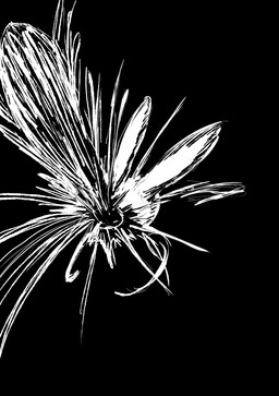 abstract_art anthro bite blood blood_splatter bodily_fluids duo eating eating_during_sex fangs female male male/female neck_bite rabbit_ears simple_background spurting teeth dragonweirdo beastars haru_(beastars) legoshi_(beastars) canid canine canis lagomorph leporid mammal rabbit wolf absurd_res comic hi_res