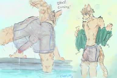 anthro balls clothing genitals male male/male penis poolside solo tail text translucent translucent_clothing wet wet_body cheetuppy mammal 3:2 absurd_res english_text hi_res huge_filesize