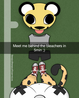 anthro anthro_fursuiter belly black_spots breasts caption clothes_on_floor clothing female female_pov first_person_view football_field footwear footwear_only fur high-angle_view inviting mascot_costume mostly_nude nipple_outline pasties shoes shoes_only sneakers socks solo spots tail text yellow_body yellow_fur lupopossum snapchat opie_(lupopossum) cheetah felid feline mammal absurd_res english_text hi_res