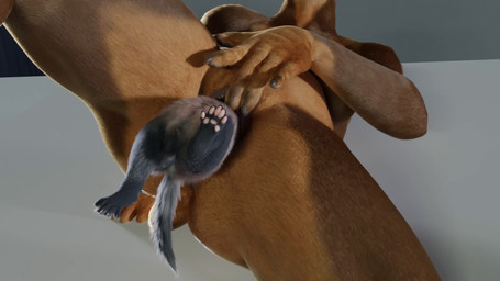 animal_genitalia animal_penis animal_vulva anthro balls bodily_fluids breasts canine_genitalia canine_vulva clitoral clitoral_masturbation clitoral_rubbing digitigrade drooling duo eyes_closed female fully_sheathed genitals internal internal_oral larger_female living_dildo living_sex_toy male male/female male_prey masturbating_while_penetrated masturbation micro micro_prey mouth_shot mustelid_penis nude nude_anthro nude_female nude_male open_mouth penetration penis saliva sheath size_difference smaller_male spread_legs spreading unbirthing vaginal vaginal_penetration vore vulva nullart untied_verbeger_(modeler) dobermann_(untied_verbeger) canid canine canis dobermann domestic_dog domestic_ferret mammal mustelid musteline pinscher true_musteline weasel 16:9 3d_(artwork) 3d_animation animated digital_media_(artwork) hi_res high_framerate no_sound short_playtime video widescreen