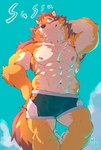 abs anthro biceps brown_body brown_fur bulge clothing fur male muscular muscular_anthro muscular_male nipples pecs shirtless solo underwear heylaw21 lifewonders live_a_hero barrel_(live_a_hero) canid canine canis mammal wolf hi_res