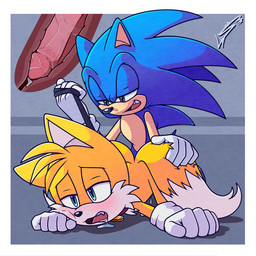 2_tails aged_up all_fours anal anal_penetration anthro bdsm blue_body blue_eyes blue_fur blush bodily_fluids border clothing collar cum cum_drip dipstick_tail doggystyle dominant dripping drooling duo from_behind_position fur genital_fluids genitals gloves green_eyes half-closed_eyes handwear humanoid_genitalia humanoid_penis internal kneeling leash leash_pull male male/male male_penetrated male_penetrating male_penetrating_male markings multi_tail multicolored_tail narrowed_eyes on_ground open_mouth orgasm penetration penis petplay precum roleplay saliva sex submissive tail tail_markings tan_body tan_fur white_body white_border white_fur yellow_body yellow_fur lyslash sega sonic_the_hedgehog_(series) miles_prower sonic_the_hedgehog canid canine eulipotyphlan fox hedgehog mammal 1:1 hi_res signature