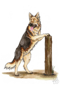 black_body black_fur black_nose brown_claws brown_pawpads claws feral fur logo male open_mouth pawpads pink_tongue side_view solo tan_body tan_fur tongue tongue_out yellow_eyes kola_(artist) canid canine canis domestic_dog german_shepherd herding_dog mammal pastoral_dog 2018 artist_logo dated hi_res signature