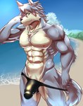 abs anthro beach big_penis bulge clothed clothing detailed_bulge dog_tags fur genitals grey_body grey_fur grey_hair hair humanoid_genitalia humanoid_penis male mostly_nude multicolored_body multicolored_fur muscular muscular_anthro muscular_male navel pecs penis sand seaside solo speedo speedo_down speedo_only speedo_pull swimwear topless water white_body white_fur humukeaka1 marbles_(pixiv) morenatsu kouya_(morenatsu) canid canine canis domestic_dog husky mammal nordic_sled_dog spitz 2023 hi_res