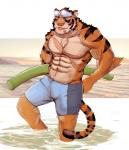 abs anthro biceps bottomwear clothed clothing fur hair male muscular muscular_anthro muscular_male pecs scar shorts solo topless cuson felid mammal pantherine tiger 2018 digital_media_(artwork)