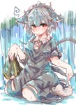 ahoge blush breasts capelet clothed clothing dress female footwear grey_hair hair red_eyes short_hair sitting socks solo water wet wet_clothing wet_hair sabitare touhou nazrin animal_humanoid humanoid mammal mammal_humanoid mouse_humanoid murid murid_humanoid murine murine_humanoid rodent rodent_humanoid absurd_res hi_res