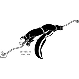 arms_tied bound eyes_closed feet_tied feral frown fur legs_tied male restrained rope simple_background skunk_tail solo tail tail_tied white_background urbanhermit mammal mephitid skunk black_and_white dated monochrome