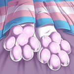 4_toes ambiguous_gender anthro bed_sheet bedding bodily_fluids cum cum_on_feet feet foot_fetish foot_focus foot_shot fur genital_fluids lgbt_pride pawpads paws paws_only pink_pawpads pride_colors soles solo toes transgender_pride_colors white_body white_fur toffeepaws mammal 1:1 2020