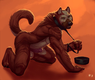 all_fours animal_genitalia anthro balls biceps biped black_nose bowl brown_body brown_fur claws collar container erection fangs foreskin fur genitals green_eyes grin humanoid_genitalia humanoid_penis kneeling leash leash_pull looking_at_viewer male muscular muscular_anthro muscular_male nude open_mouth pawpads paws pecs penis pose presenting sheath smile solo tan_body tan_fur teeth toe_claws tongue rrowdybeast gaslightdog gaslight canid canine canis domestic_dog mammal 2013 6:5