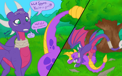 anus ass_up balls female femboy genitals knot knotted_penis male male/female outside_sex penetration penis sex tomboy vaginal vaginal_penetration magnificent-arsehole activision mythology spyro_the_dragon cynder spyro dragon mythological_creature mythological_scalie scalie hi_res