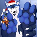 4_toes 5_fingers anthro claws duo eyewear feet finger_claws fingers foot_focus fur glasses holidays macro male micro pawpads paws tail toe_claws toes zhekathewolf christmas joey_(average_joey) canid canine canis fox mammal wolf 1:1