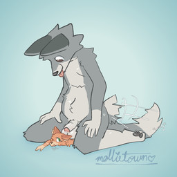 anthro balls black_nose black_pawpads blep blue_background brown_eyes dipstick_tail duo foreskin fur genitals green_eyes grey_body grey_fur grey_tail_tip humanoid_genitalia humanoid_hands humanoid_penis inner_ear_fluff kneeling male male/male markings micro orange_body orange_fur orange_inner_ear_fluff pawpads penis pink_tongue pinned simple_background sitting sitting_on_another sitting_on_partner tail tail_markings tail_motion tailwag tongue tongue_out tuft mollietown crow_(mollietown) canid canine canis fox mammal wolf 1:1 2026 digital_drawing_(artwork) digital_media_(artwork) english_description hi_res