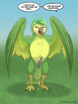 animal_genitalia aroused claws erection feathered_wings feathers feral genitals grass male penis plant sky solo species_transformation standing transformation wings thathornycat swapped_(movie) ollie_(swapped) avian bird javan_(species) pookoo absurd_res colored hi_res shaded sketch