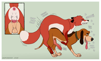anal anal_knotting anal_penetration animal_genitalia animal_penis anus backsack balls bodily_fluids border canine_genitalia canine_penis claws clenched_teeth digitigrade duo erection eyes_closed feral feral_on_feral feral_penetrated feral_penetrating feral_penetrating_feral finger_claws from_behind_position fur genital_fluids genitals knot knotted_penis knotting leaking_precum looking_pleasured male male/male male_penetrated male_penetrating male_penetrating_male mounting open_mouth penetration penile penile_penetration penis perineum precum precum_string quadruped rear_view sex simple_background smile stretched_anus tail teeth toe_claws tongue tongue_out top_hole white_border badfurgood disney the_fox_and_the_hound copper_(tfath) tod_(tfath) canid canine canis domestic_dog fox hunting_dog mammal red_fox scent_hound true_fox digital_media_(artwork) hi_res