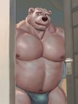 anthro belly big_belly biped blue_eyes bulge clothed clothing detailed_background ear_piercing kemono looking_at_viewer male musclegut muscular muscular_anthro muscular_male nipples overweight overweight_anthro overweight_male piercing solo stubble underwear underwear_only white_body episode0006 bear mammal polar_bear ursine 2022 absurd_res hi_res