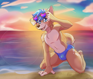 anthro beach biped blue_eyes bulge clothed clothing detailed_background detailed_bulge eyewear fur hair looking_at_viewer male open_mouth outside sand seaside sky smile solo speedo sunset swimwear water ziggy_fox canid canine canis domestic_dog herding_dog mammal pastoral_dog welsh_corgi digital_drawing_(artwork) digital_media_(artwork) hi_res