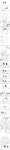 anthro anthro_on_feral anthro_penetrating anthro_penetrating_feral bestiality duo female female_on_anthro feral feral_penetrated genitals larger_anthro larger_male male male/female male_on_feral penetration sex size_difference smaller_female smaller_feral seuppi felid mammal absurd_res hi_res long_image monochrome tall_image