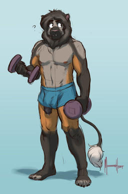 anthro boxers_(clothing) clothing exercise flaccid foreskin genital_piercing genitals humanoid_genitalia humanoid_penis male muscular muscular_anthro muscular_male nipples penis penis_piercing penis_poking_out penis_through_leghole piercing prince_albert_piercing question_mark solo standing tail tail_tuft tuft underwear weightlifting workout meesh felid lion mammal pantherine 2014 digital_media_(artwork) hi_res