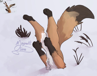 ambiguous_gender feral orange_body paws photo_reference plant quadruped snow solo stuck stuck_in_ground tail magnettolive canid canine fox mammal hi_res redraw