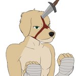 anthro bandaged_hand blood blood_on_face bodily_fluids clothed clothing green_eyes head_injury male melee_weapon muscular muscular_male solo sword topless topless_male weapon xvii_(artist) bird_dog canid canine canis domestic_dog golden_retriever hunting_dog mammal retriever 1:1