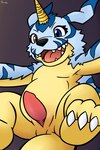 anthro aroused blue_body blue_eyes blue_fur claws erection fur fur_markings genitals heterochromia horn male markings open_mouth orange_eyes paws penis presenting presenting_penis slightly_chubby slit_penis solo yellow_body yellow_fur conditional_dnp pawsta bandai_namco digimon digimon_(species) gabumon absurd_res hi_res