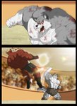 anthro arena armor attack big_muscles blood bodily_fluids bottomwear clothing duo footwear fur gladiator grey_body grey_fur huge_muscles leather leather_armor male multicolored_body multicolored_fur muscular muscular_anthro open_mouth pecs pteruges punch red_body red_fur teeth two_tone_body two_tone_fur warrior white_body white_fur wounded xxsparcoxx kraso_(xxsparcoxx) teofacio_larna canid canine canis fox mammal wolf 2017 comic digital_media_(artwork) hi_res
