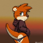 anthro butt clothing frown fur green_eyes hoodie male multicolored_body multicolored_fur solo speedo swimwear tail topwear two_tone_body two_tone_fur wardrobe_malfunction oddscreen mammal mustelid otter 1:1